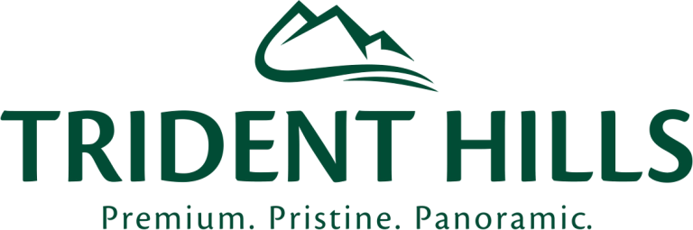 trident-reality-logo-768x255